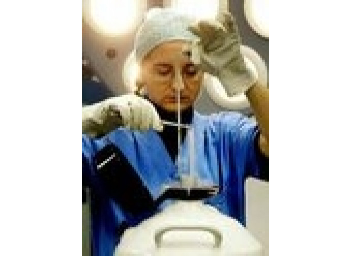 Fecondazione assistita Fecondazione assistita